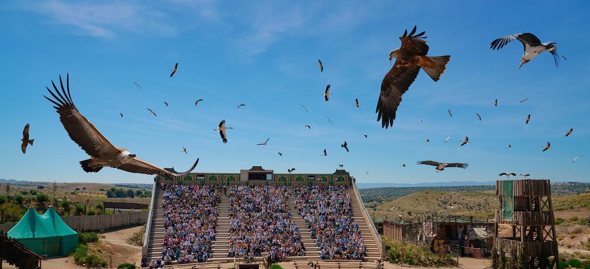 Puy Du Fou España confirma enterramientos irregulares y despide a tres empleados