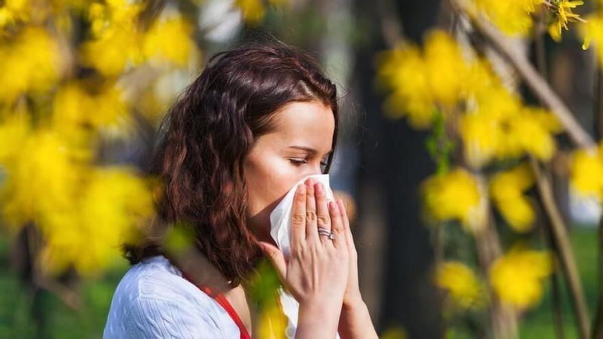 Alergia o resfriado: la Dra. Ana Puig explica cómo diferenciarlos y por qué aumentan las alergias
