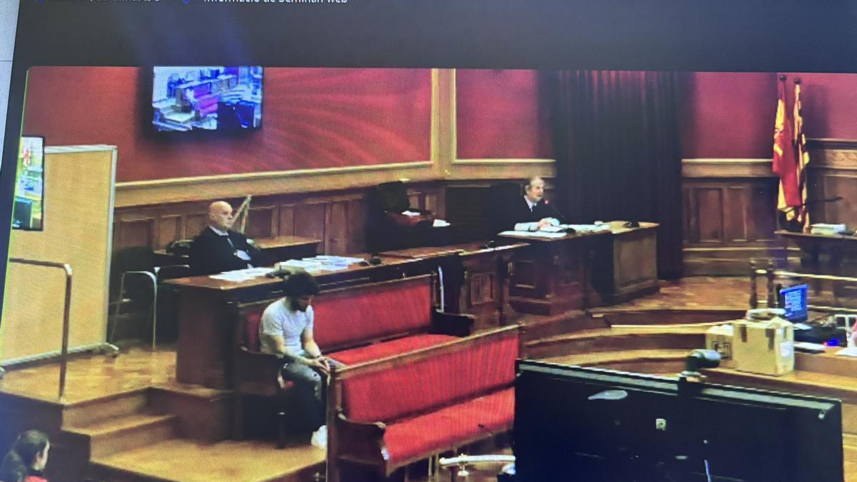 Condenado a 12 años y 10 meses por asesinar y descuartir a su compañero de piso en Piera