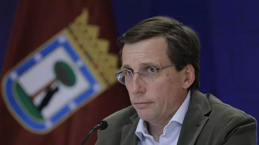 Detalle de la cría de hipopótamo pigmeo bajo el sol, mostrando su crecimiento