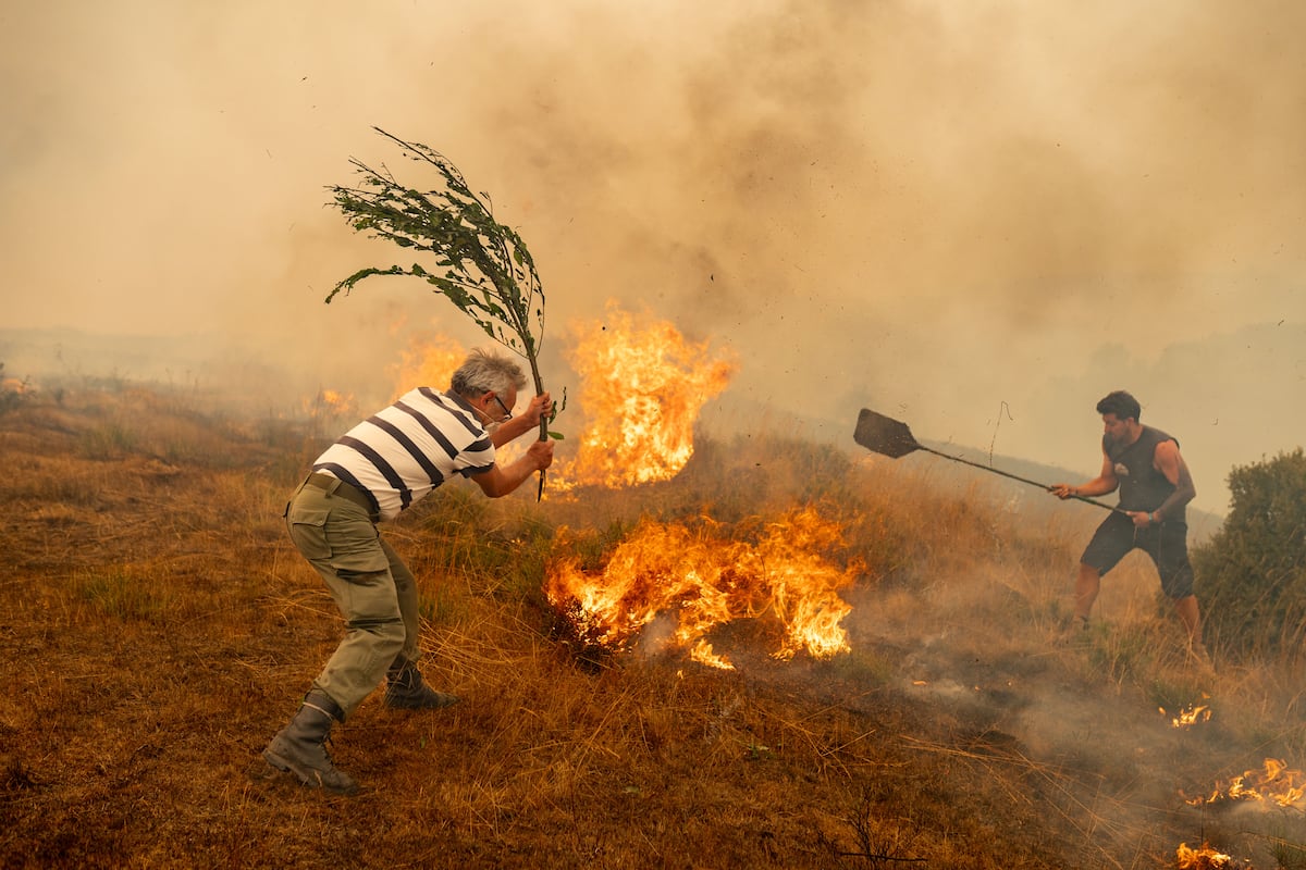 Castilla y León activa medidas extraordinarias contra incendios sin elevar nivel de riesgo