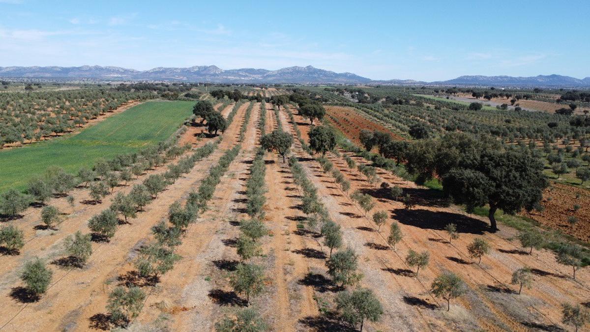 Vista aérea del sistema de regadío solar en el Valle del Zújar, con paneles fotovoltaicos y balsas de almacenamiento