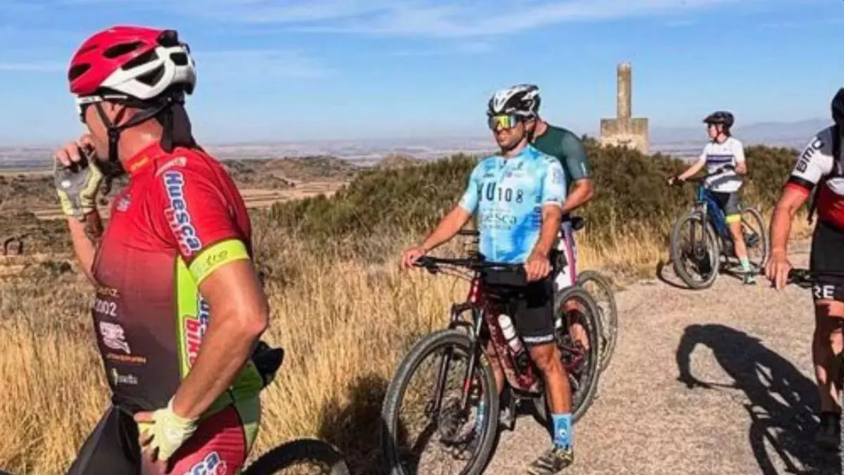 Ballena rorcual varada en la bahía de los Alfacs: alerta en el delta del Ebro