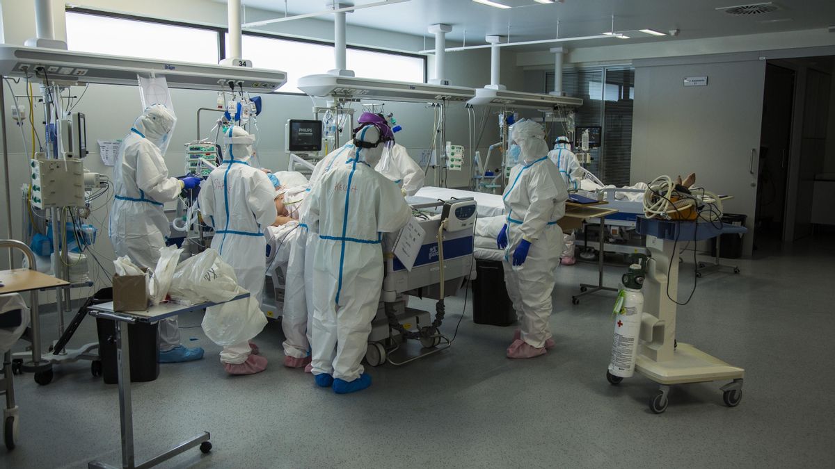 Alerta de enfermedades emergentes: España registra brotes de hantavirus, ébola, fiebre del Nilo, chikungunya y Zika