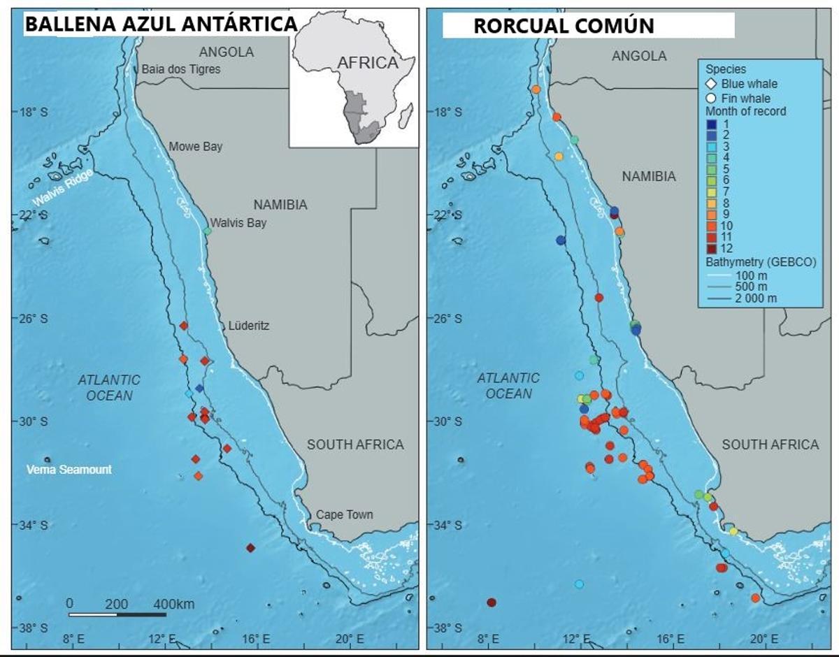 Mapa de la corriente de Benguela mostrando su riqueza en krill