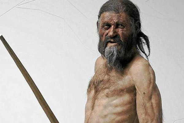 Muestra de tejido y hielo de la momia Ötzi con análisis microbiano