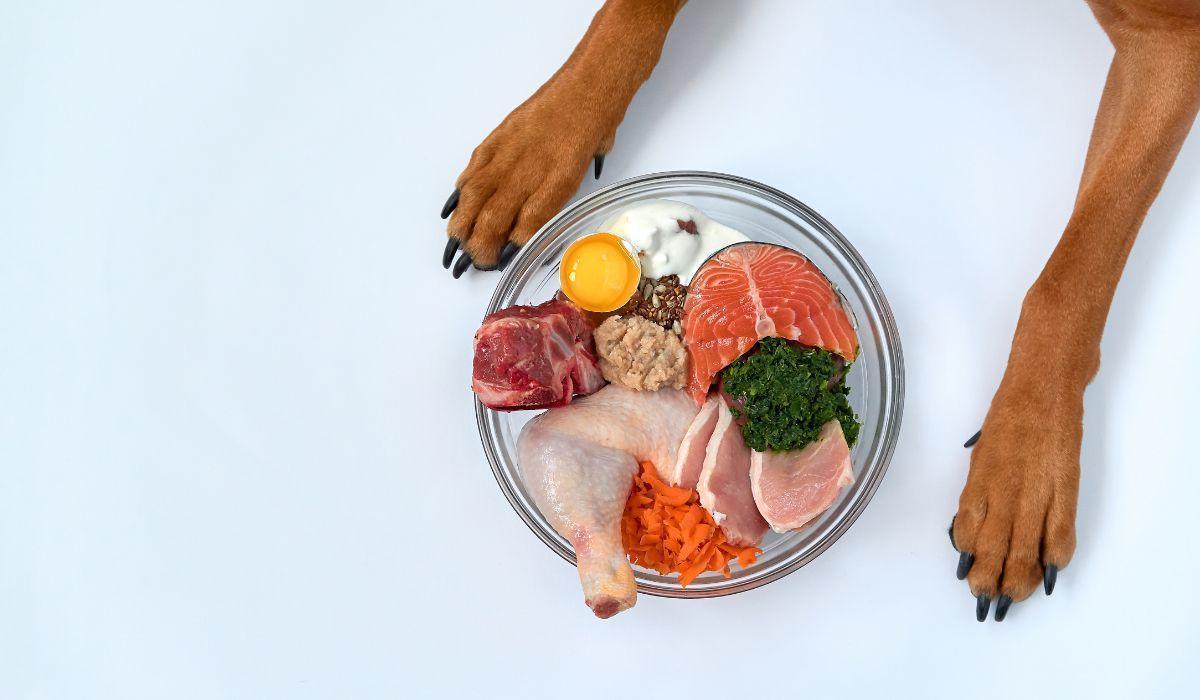 Pechuga de pollo cocida sin grasa, recomendada para perros
