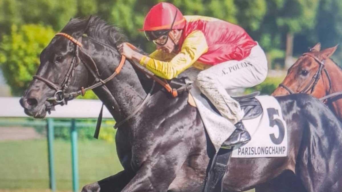 Hipódromo de Longchamp preparado para el Paul de Moussac 2026
