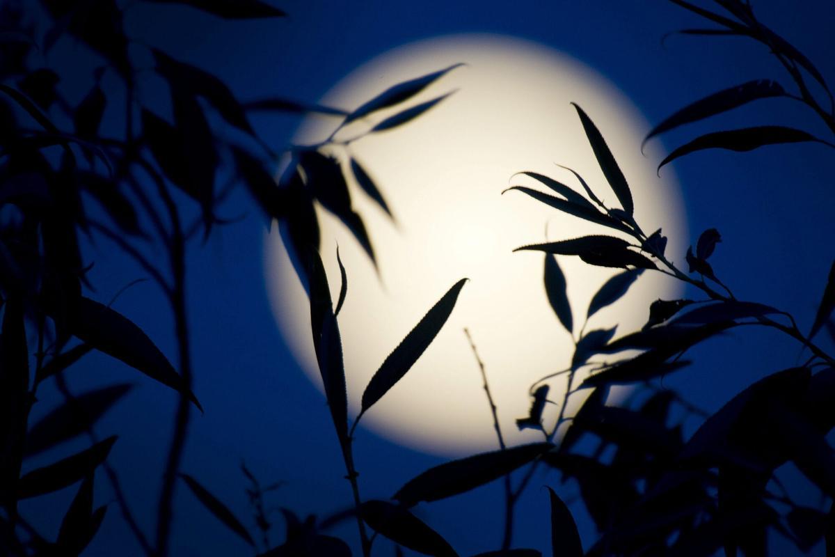 Fotografía de la Luna de fresa llena sobre el horizonte nocturno, con tonos plateados y cielo despejado