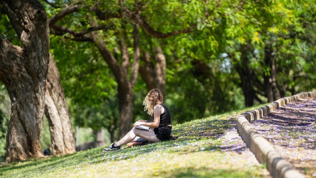 Calor extremo en el Guadalquivir mientras el norte se refresca: AEMET advierte máximas de 38 °C