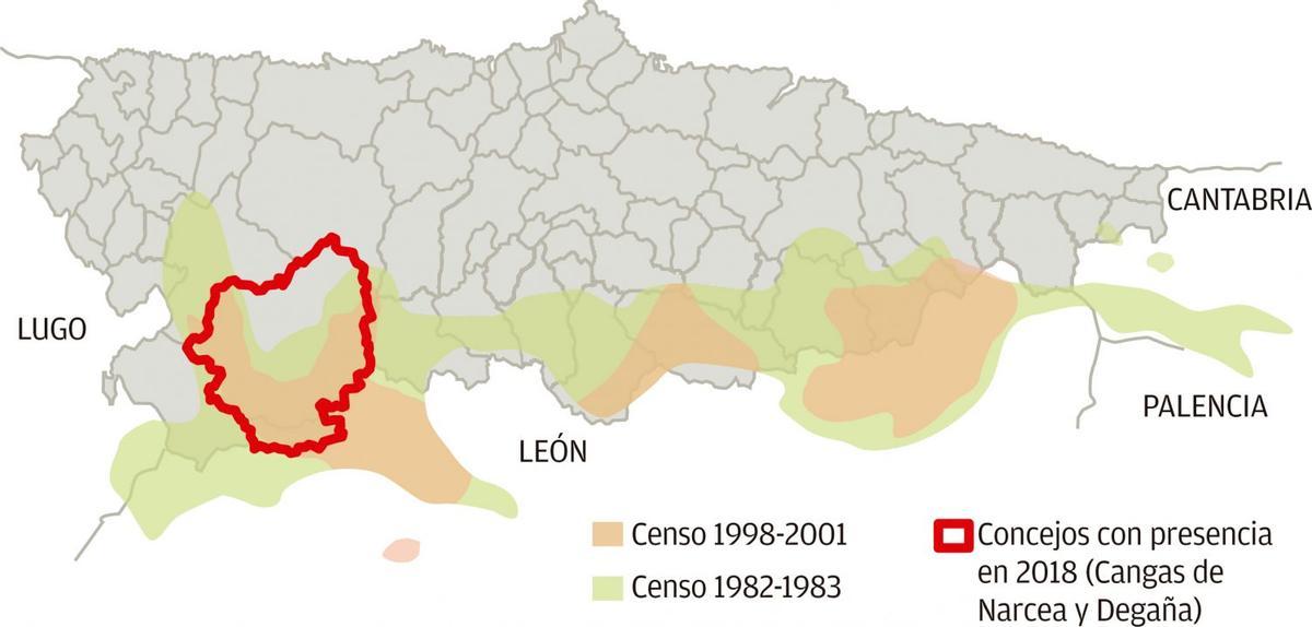 Urogallo cantábrico en su hábitat natural, observado durante el censo de MITECO