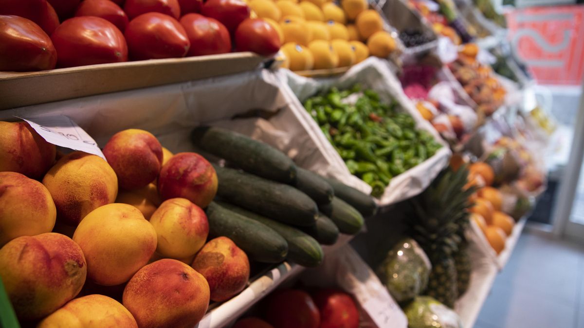 Ayuda universal de 150 € al mes para alimentación: el nuevo informe que propone una Seguridad Social alimentaria en España